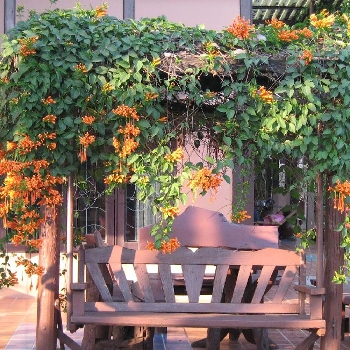 บ้านไร่บุษกร รีสอร์ท (บ้านเหวปลากั้ง) ทีพักปากช่อง ที่สุดของการพักผ่อน ท่ามกลางธรรมชาติใกล้เขาใหญ่